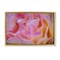 Stupell Industries Pink Floral Petals Palette Floating Frame, design by James Rodewald